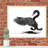 Black Swan I